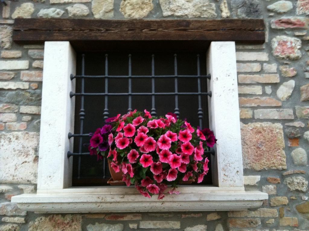 Agriturismo La Cantina Ascoli Piceno Zewnętrze zdjęcie