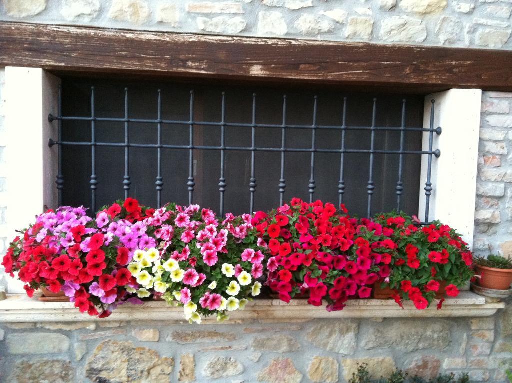 Agriturismo La Cantina Ascoli Piceno Zewnętrze zdjęcie